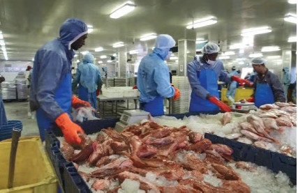 Seafood processing floor